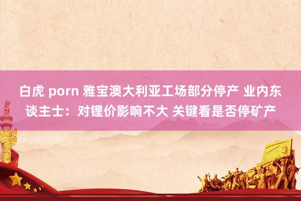 白虎 porn 雅宝澳大利亚工场部分停产 业内东谈主士：对锂价影响不大 关键看是否停矿产