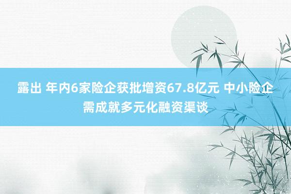 露出 年内6家险企获批增资67.8亿元 中小险企需成就多元化融资渠谈