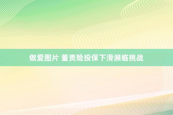 做爱图片 董责险投保下滑濒临挑战