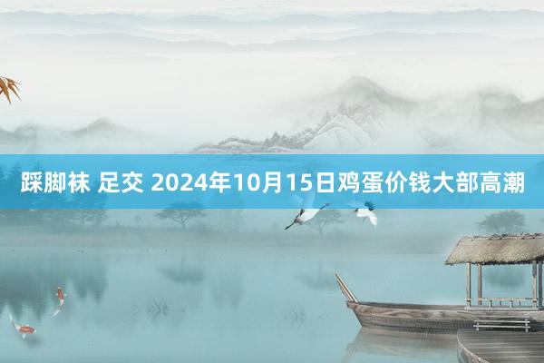 踩脚袜 足交 2024年10月15日鸡蛋价钱大部高潮