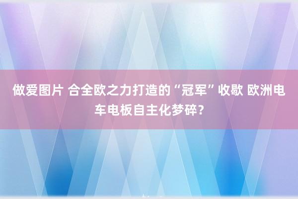 做爱图片 合全欧之力打造的“冠军”收歇 欧洲电车电板自主化梦碎？