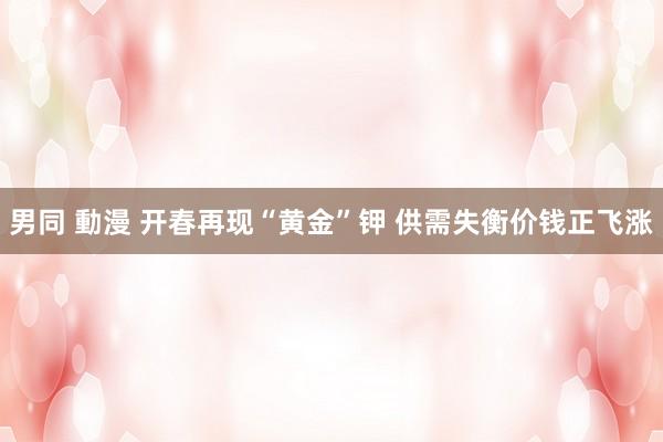 男同 動漫 开春再现“黄金”钾 供需失衡价钱正飞涨