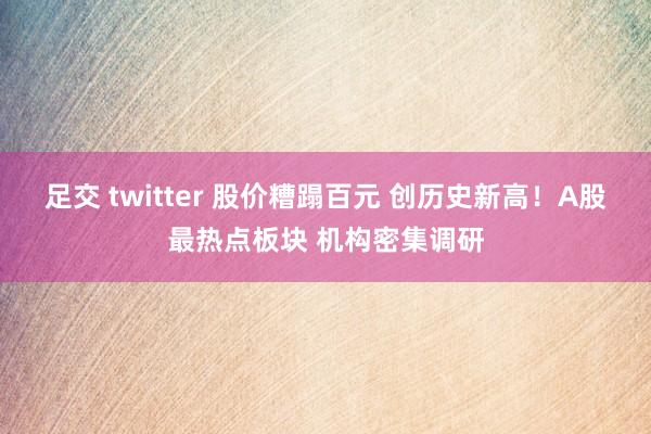 足交 twitter 股价糟蹋百元 创历史新高！A股最热点板块 机构密集调研