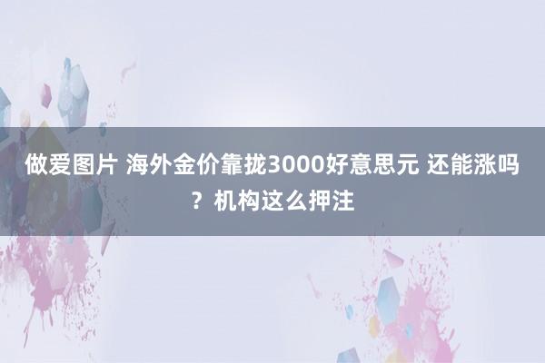 做爱图片 海外金价靠拢3000好意思元 还能涨吗？机构这么押注